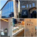 파인글로브 이미지