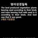 오늘의 '영어성경 쇼츠'(창 1-12강) 창세기 1장 절(Genesis 1:12) 이미지