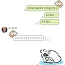 보드카페복실이 | 부산에 복실이 패밀리가 떴다!