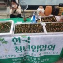 한국청년임업회