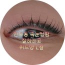 연수동속눈썹펌잘하는곳 위드영에서 바짝컬 L컬 후기