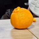 애경자동차 | [인턴 후기] 블로그에 서울환경연합 자랑하다가 활동가분들에게 들킨 썰 푼다