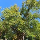 오송가든 이미지