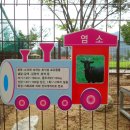 모듬내길 이미지