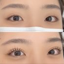라이크인뷰티
