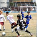 인제천연잔디구장 이미지