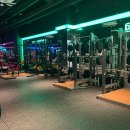 에스휘트니스 이미지