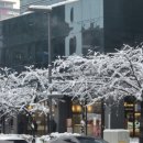 훌랄라치킨 소사점 이미지