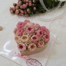 대명장로교회 이미지