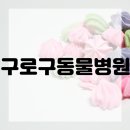 구로동물병원