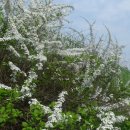 동작충효길 2코스 현충원길 이미지