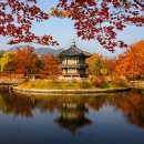 세종시청후문 잔디광장 | 광화문광장 새단장 후 방문기 주요변화 교통편 주차 팁