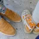 화이트클럽 이미지