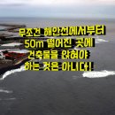 강정동-50 티스토리