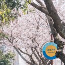 예래동 하예동무료주차장 이미지