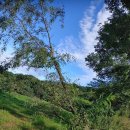 사후동저수지 이미지