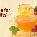 아리랑야채과일 이미지