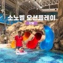 단양군장애인단체연합회 | 단양 여행 소노벨 단양 오션플레이 워터파크 정보 가득 후기!