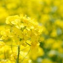 낙동강체육공원 1번주차장 이미지