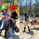 오천제일유치원 이미지