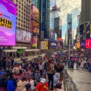 전일상회 이미지