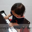 베베놀카페