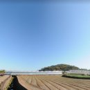 일과리 지석묘 이미지