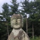 회안 Daum카페