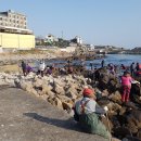 남정면사무소 이미지