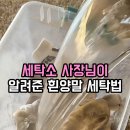 하얀이언니네 | "너 양말 새로 샀어?" 언니네 집 건조대 보고 배신감 느껴서 쓰는 흰 양말 찌든 때 세탁소 사장님 비법...