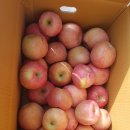 행복애농원 이미지