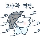 투썸커피숍 건너편 이미지