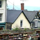 이미지작은도서관 이미지