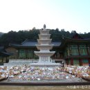 상기목장 네이버블로그