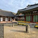 불갑사관광지 주차장 | 전남 영광 불갑사 완벽 여행 가이드: 역사·자연·체험까지