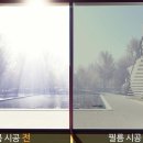 대풍농약사 이미지