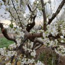 한길농장 이미지