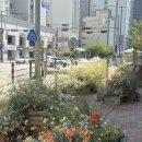 스탠다드브레드 | [부산 빵지순례] 유럽 감성 가득한 스탠다드브레드 후기