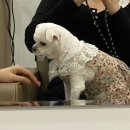 더하다뷰티룸