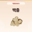 백출건강원