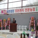 전충농장 Daum카페