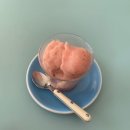 코끼리아프리카까스까스 이미지