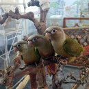 인천조류원 이미지