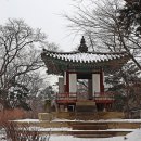 비원 이미지