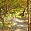 능동공원 이미지