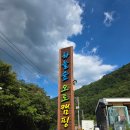 더숲캠핑장 | 하늘숲 오토캠핑장 후기 / 아이와 함께 가기 좋은 포항 캠핑장(산과 계곡, 수영장, 트램폴린)