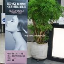쎄씨헤어연출