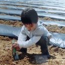 범규농장 이미지