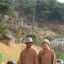 솔잎황토방된장 Daum카페