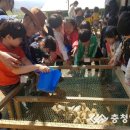 주현주농장 이미지